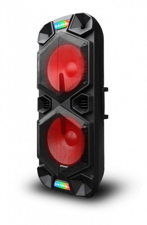Głośnik APA30 system audio Bluetooth Karaoke Głośnik APA30 system audio Bluetooth Karaoke