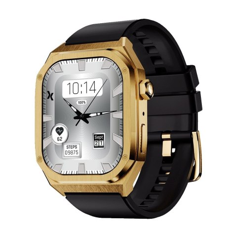 Smartwatch FW65 Iron s Złoty Smartwatch FW65 Iron s Złoty
