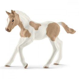 Figurka Koń Paint Horse źrebię