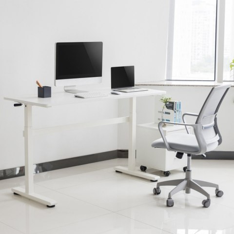 Biurko Ergo Office ER-401W Ręczna regulacja wysokości Białe Biurko Ergo Office ER-401W Ręczna regulacja wysokości Białe