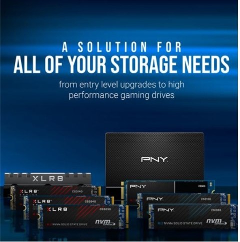 Dysk SSD 1TB M.2 CS1030 M280CS1030-1TB-RB Dysk SSD 1TB M.2 CS1030 M280CS1030-1TB-RB