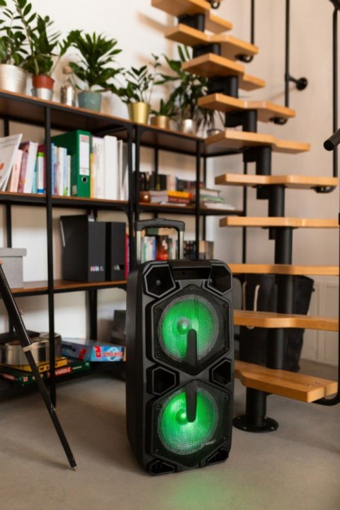 Głośnik APA20 system audio Bluetooth Karaoke Głośnik APA20 system audio Bluetooth Karaoke