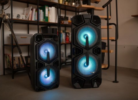 Głośnik APA24 system audio Bluetooth Karaoke Głośnik APA24 system audio Bluetooth Karaoke