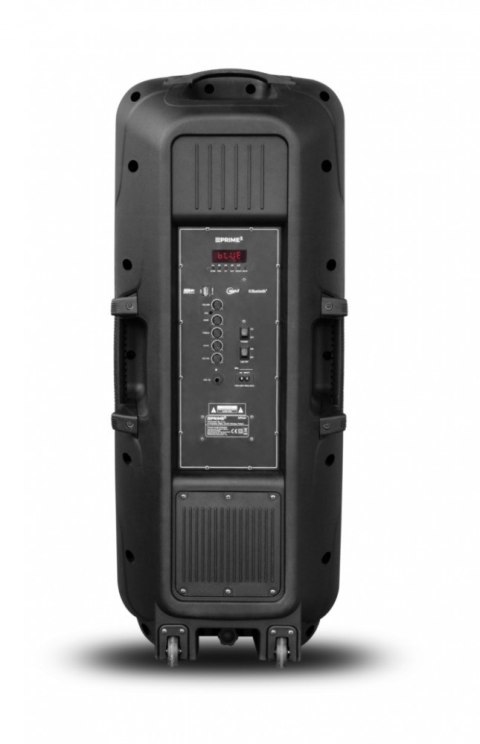 Głośnik APA24 system audio Bluetooth Karaoke Głośnik APA24 system audio Bluetooth Karaoke