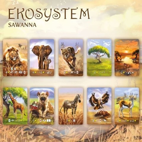 Gra Ekosystem 3 - Sawanna Gra Ekosystem 3 - Sawanna