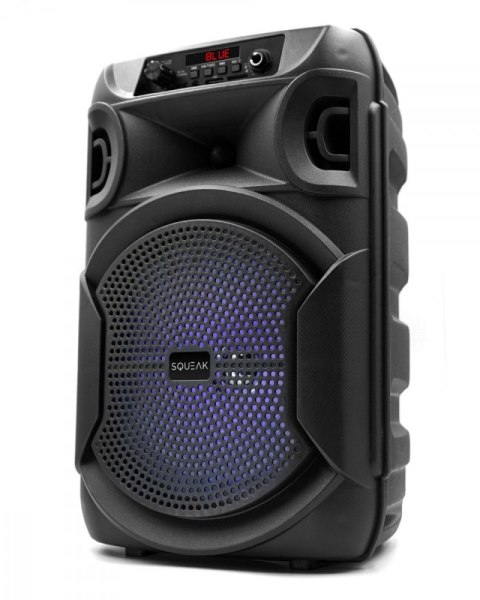 Głośnik Bluetooth 5.3 EDR PulseTower 1000W Funkcja Karaoke SQ1006 Głośnik Bluetooth 5.3 EDR PulseTower 1000W Funkcja Karaoke SQ1006