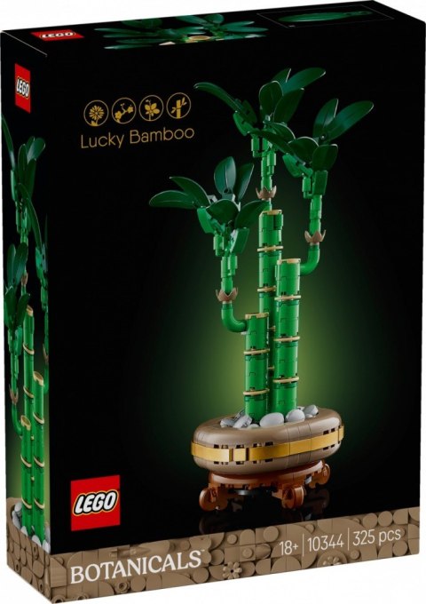 Klocki Botanicals 10344 Dracena sandera Klocki Botanicals 10344 Dracena sandera