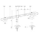 Ramię do monitora DS60-600BL2