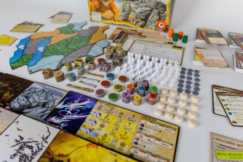 Gra Spirit Island: Rozdarta Ziemia Gra Spirit Island: Rozdarta Ziemia