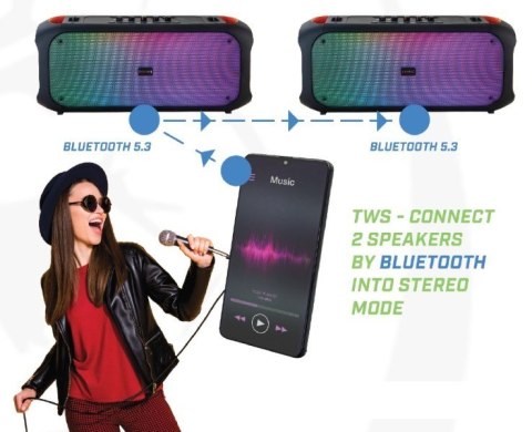Głośnik Bluetooth FM/USB SoundBox 650 Głośnik Bluetooth FM/USB SoundBox 650