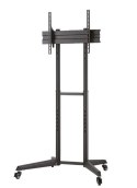 Stojak mobilny FL50-540BL1 Stojak mobilny FL50-540BL1