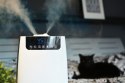 Nawilżacz powietrza AHS803 Nawilżacz powietrza AHS803