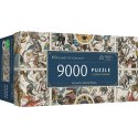 Puzzle 9000 elementów Ancient Celestial Maps Puzzle 9000 elementów Ancient Celestial Maps