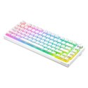 Klawiatura mechaniczna bezprzewodowa SAVIO PHENIX WHITE Gateron Yellow, Pudding Klawiatura mechaniczna bezprzewodowa SAVIO PHENIX WHITE Gateron Yellow, Pudding