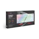Klawiatura mechaniczna bezprzewodowa SAVIO PHENIX WHITE Gateron Yellow, Pudding Klawiatura mechaniczna bezprzewodowa SAVIO PHENIX WHITE Gateron Yellow, Pudding