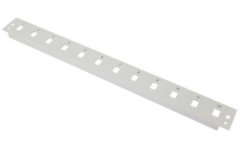 Płyta czołowa 12x SC Simplex 19" 1U Płyta czołowa 12x SC Simplex 19" 1U