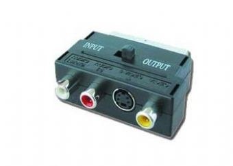 Adapter EURO/SVHS-3RCA (CHINCH) Adapter EURO/SVHS-3RCA (CHINCH)