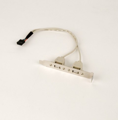 Gniazdo USB X2 na śledziu Gniazdo USB X2 na śledziu