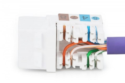 Moduł Keystone RJ45 kat.6 UTP LSA