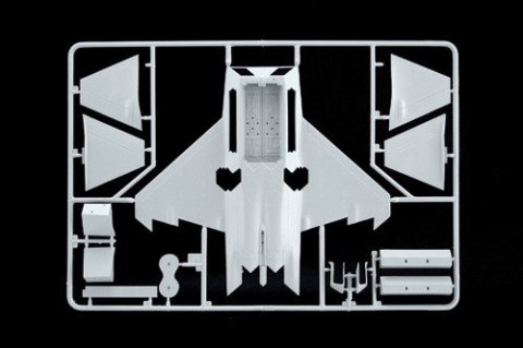 Model plastikowy F-22 Raptor Model plastikowy F-22 Raptor