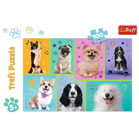 Puzzle 100 elementów W świecie piesków Puzzle 100 elementów W świecie piesków