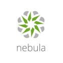 Licencja Nebula Prof Pack Lic 1Y LIC-NPRO-ZZ1Y00F