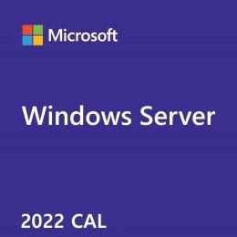 HPE ROK Win Svr 2022 CAL 10Clt Dev P46218-B21