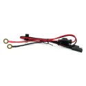 Prostownik samochodowy do akumulatora 6V/12V automatyczny CBC5