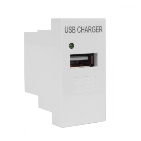 Gniazdo USB z ładowarką pasuje do szklanych ramek MCE727W Białe Gniazdo USB z ładowarką pasuje do szklanych ramek MCE727W Białe