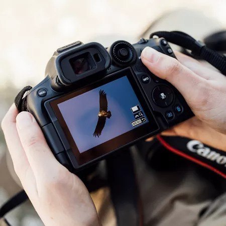 Aparat bezlusterkowy EOS R7 + RF-S 18-150mm 5137C010