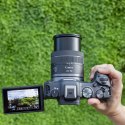 Aparat bezlusterkowy EOS R8+RF 24-50mm F4.5- 6.3 IS STM 5803C013