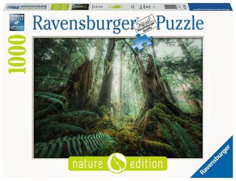 Puzzle 1000 elementów Lasy Puzzle 1000 elementów Lasy