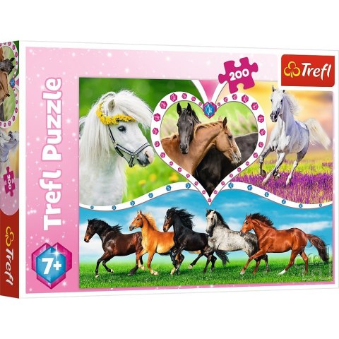 Puzzle 200 elementów - Piękne konie Puzzle 200 elementów - Piękne konie