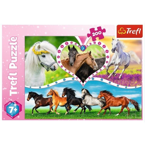 Puzzle 200 elementów - Piękne konie Puzzle 200 elementów - Piękne konie
