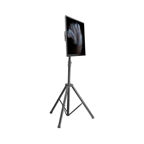 Stojak mobilny do TV LCD/LED/PDP 37-70 cali 35kg pochylany VESA Stojak mobilny do TV LCD/LED/PDP 37-70 cali 35kg pochylany VESA