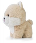 Maskotka TEDDY PETS Pomeranian