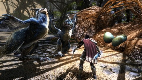 Gra Nintendo Switch Kingdoms of Amalure Re-Reckoning Gra Nintendo Switch Kingdoms of Amalure Re-Reckoning
