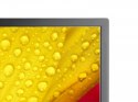 Monitor wielkoformatowy MultiSync M651-2 65 cali UHD 500cd/m2 24/7