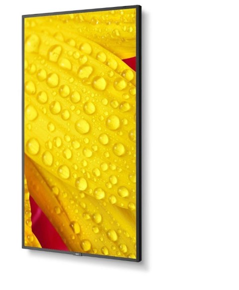 Monitor wielkoformatowy MultiSync M551-2 55 cali UHD 500cd/m2 24/7 Monitor wielkoformatowy MultiSync M551-2 55 cali UHD 500cd/m2 24/7