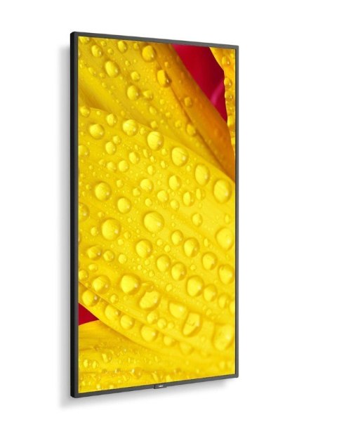 Monitor wielkoformatowy MultiSync M551-2 55 cali UHD 500cd/m2 24/7 Monitor wielkoformatowy MultiSync M551-2 55 cali UHD 500cd/m2 24/7
