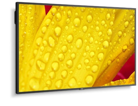 Monitor wielkoformatowy MultiSync M551-2 55 cali UHD 500cd/m2 24/7 Monitor wielkoformatowy MultiSync M551-2 55 cali UHD 500cd/m2 24/7