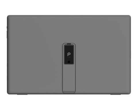 Monitor 15.6 cala PRO MP161 E2U LED/FHD/Flat/60Hz/szary