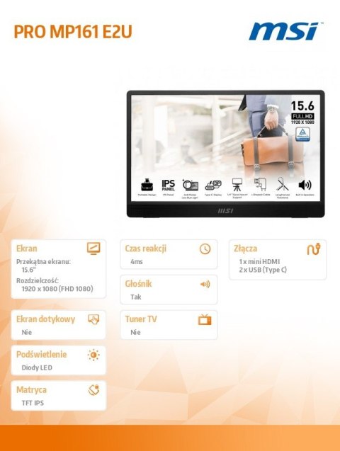 Monitor 15.6 cala PRO MP161 E2U LED/FHD/Flat/60Hz/szary