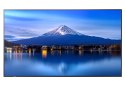 Monitor wielkoformatowy MultiSync P656 65 cali UHD 700cd/m2 24/7