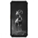 Smartfon Armor 28 Pro 5G 16/512GB IP69K czarny