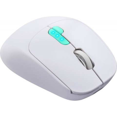 Mysz bezprzewodowa NITTA MM-307 RF+BT 1600DPI 6P biała Mysz bezprzewodowa NITTA MM-307 RF+BT 1600DPI 6P biała