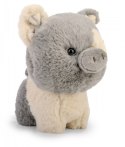 Maskotka TEDDY PETS Świnka szara