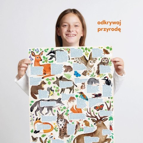 Puzzle odkrywcy - Dzika przyroda 300 elementów Puzzle odkrywcy - Dzika przyroda 300 elementów