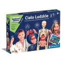 Zestaw naukowy Ciało ludzkie