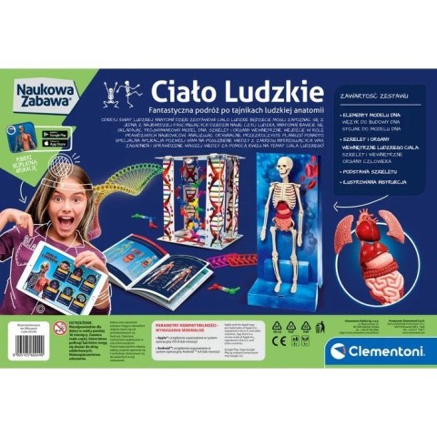 Zestaw naukowy Ciało ludzkie Zestaw naukowy Ciało ludzkie
